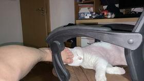 嗑嗨升天,揭秘现代年轻人的精神狂欢之旅