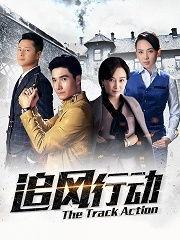 追风行动,揭秘神秘组织背后的惊心动魄