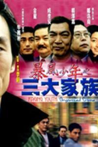 暴风少年之三大家族 2001,暴风少年之三大家族风云录