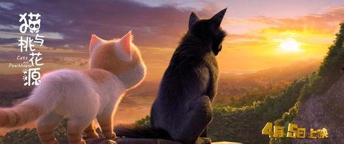 猫与桃花源