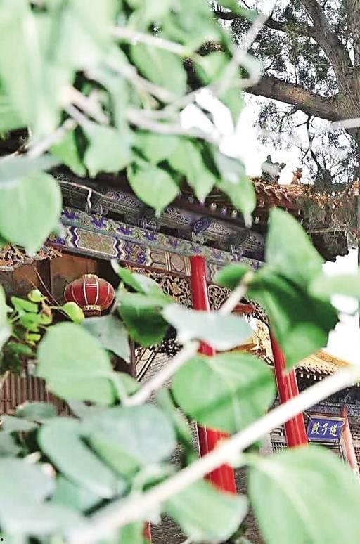 送子殿,千年祈福之地，孕育希望的神圣殿堂