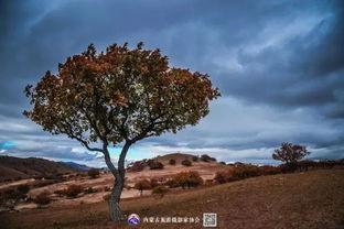 西拉沐沦,自然奇观与人文历史的交融之地