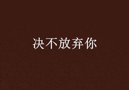 决不放弃,砥砺前行的力量源泉